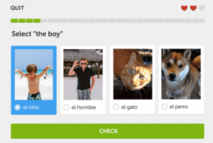 duolingo android app