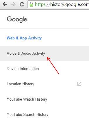 google-voice-search-history-1