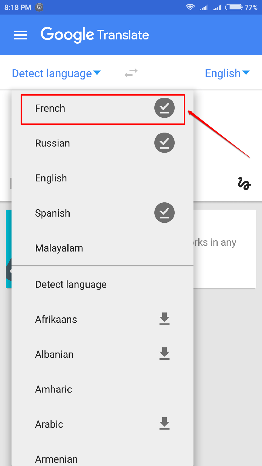 google translate amharic to english