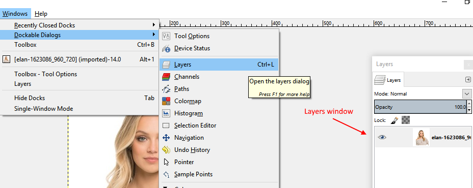 Layer Window