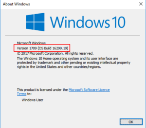 windows version build shown