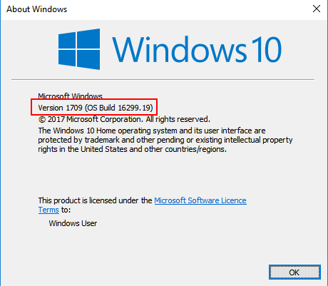 Windows Version Build Shown