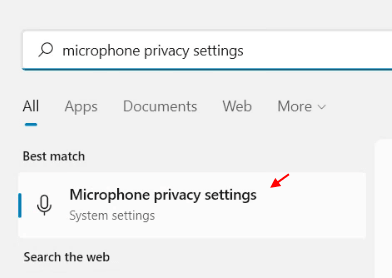 Microphone Privacy Settings Min