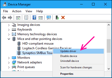 Device Manager Fix Snaptics Smbus Driver Issue