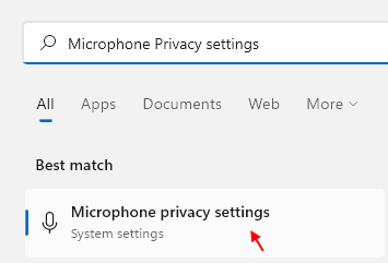 Microphone Privacy Settings Min