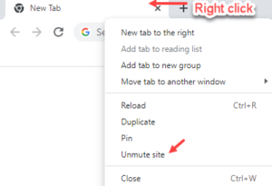 Fix No sound on YouTube video in Windows 10 / 11 PC