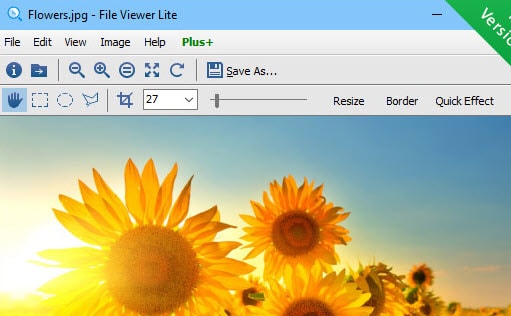 what is the cost of file viewer plus