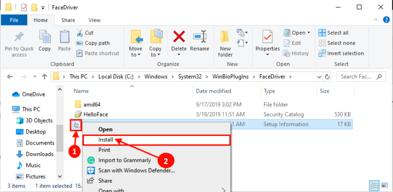 hello face windows 10 not working