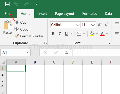 Excel File