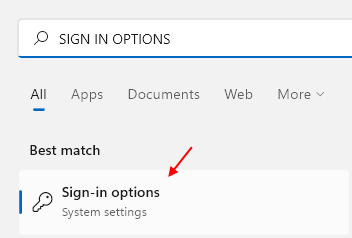 Sign In Options
