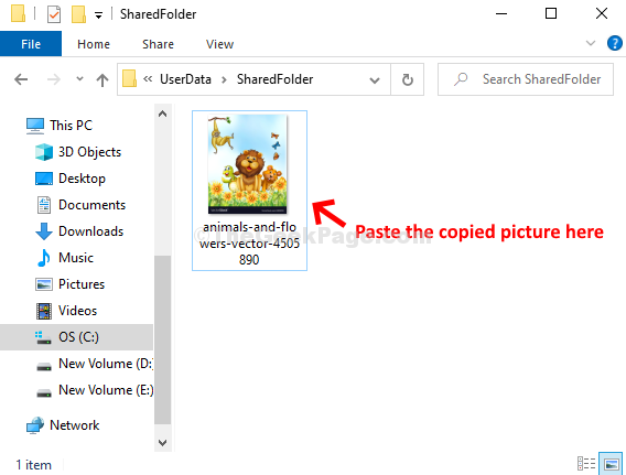 Sharedfolder Paste Picture