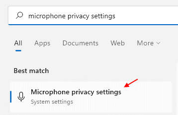 Mic Privacy Settings 1 Min