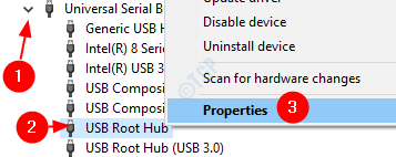 USB Root Hub Properties