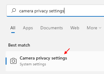 Camera Privacy Settings Min