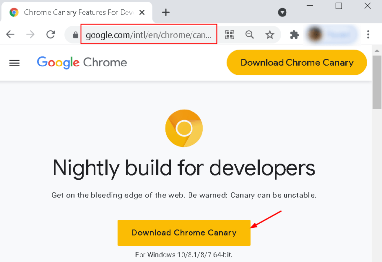 chrome canary close on open