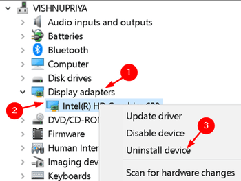 Uninstal Display Adapter Driver Min1