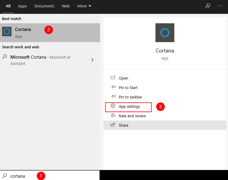 Cortana App Settings Min