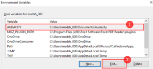 How to set environment variables in Windows 11