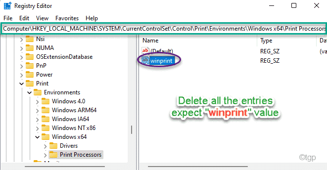 Registry Winprint Delete Min