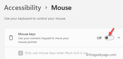Accessibility Mouse Mouse Keys Disable