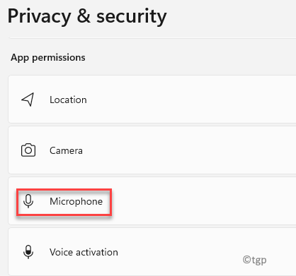 Privacy & Security App Permissions Microphone