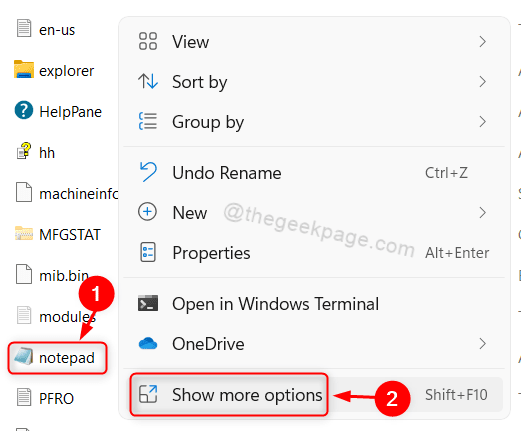 Show More Options Notepad Application Win11