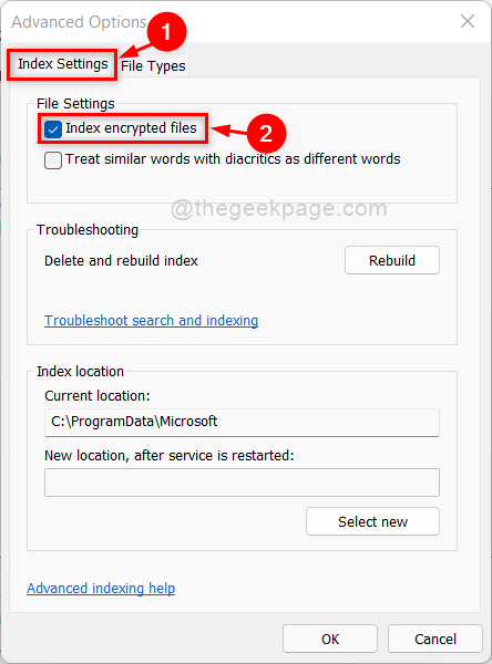 Encrypted Files Indexing Checkbox 11zon