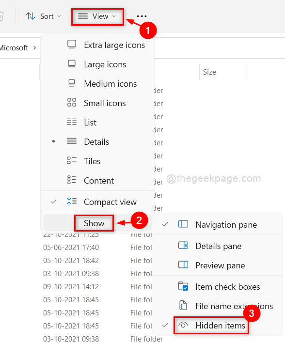 Show Hidden Items File Explorer