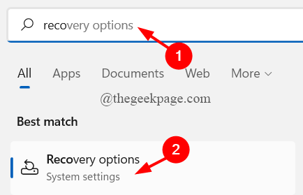 Recovery Options Search Tab Min