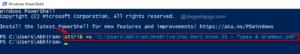 Set Online Only Powershell 11zon