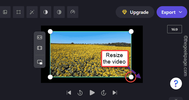 Resize The Video Feed Min