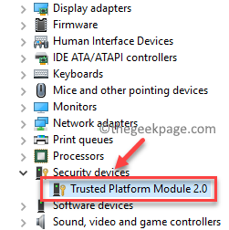 Device Manager Security Devices Trusted Platform Module 2.0