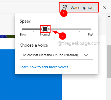 Voice Options Speed Control 11zon