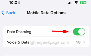 enable data roaming 11zon