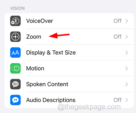 Zoom option 11zon