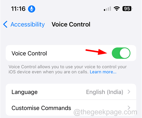 enable Voice Control 11zon