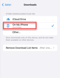 Safari not downloading files on iPhone : How to Fix