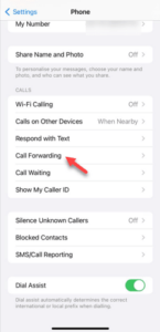 IPHONE CALL FORWARDING SETTING INTERROGATION FAILED visual data 3