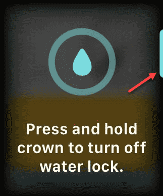 Water got into the Apple Watch - How to fix 3 press the crown min