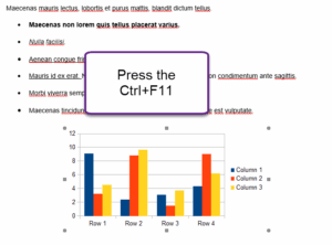 ctl f11