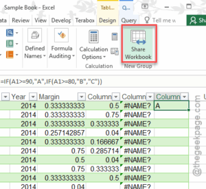 share workbook