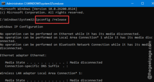 ipconfig release