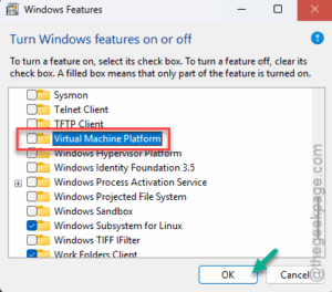 virtual machine platform ok
