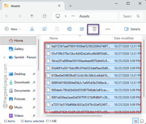 delete assets
